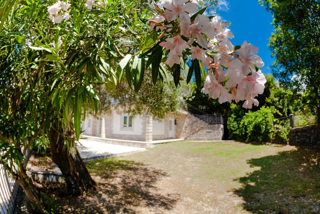 Olive Tree Villa Herceg Novi Ngoại thất bức ảnh